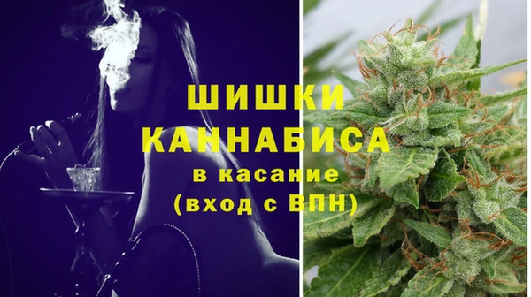тгк Михайловск