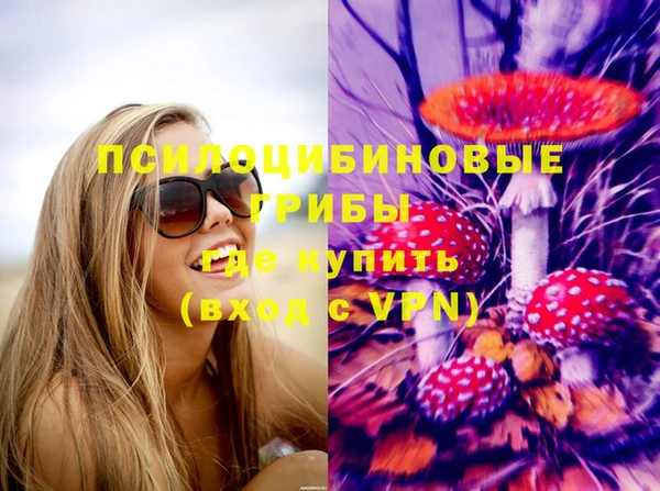 тгк Михайловск
