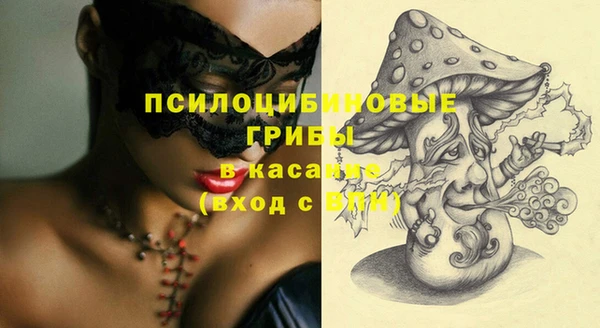 дурь Медвежьегорск